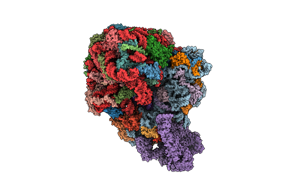 5MC6 image