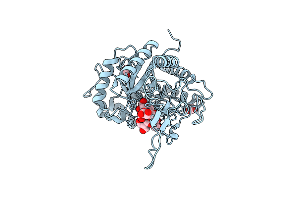 5MC8 image