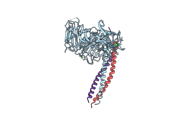 5MC9 image