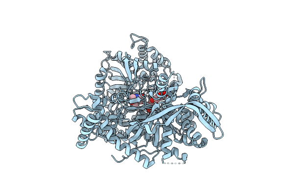 5MCB image