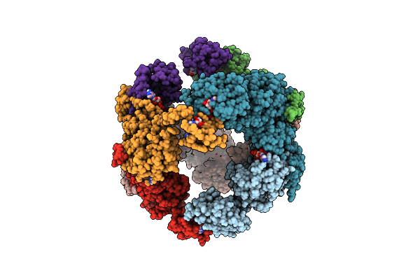 5MCP image