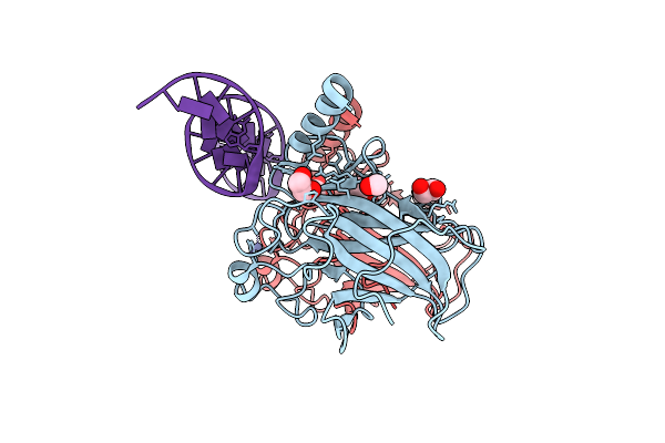 5MCT image