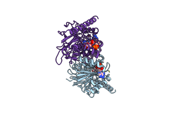 5MDH image