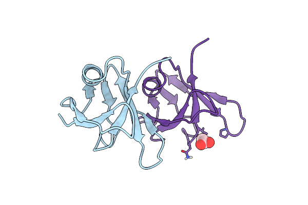 5MDI image