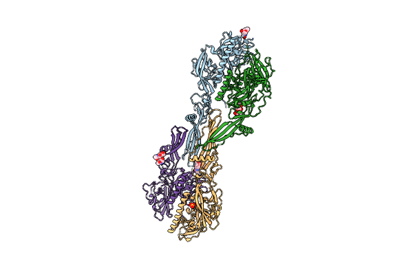 5MDM image