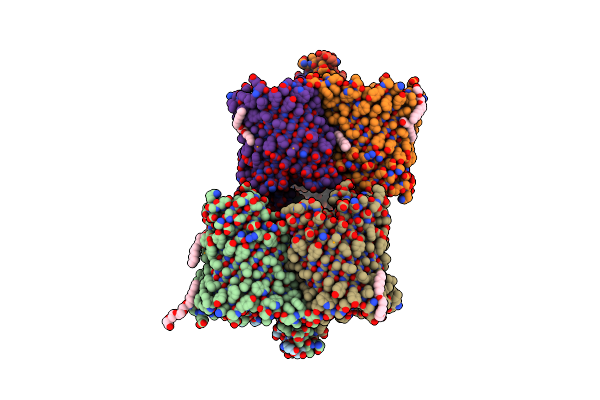 5MDO image