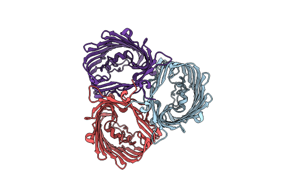 5MDP image