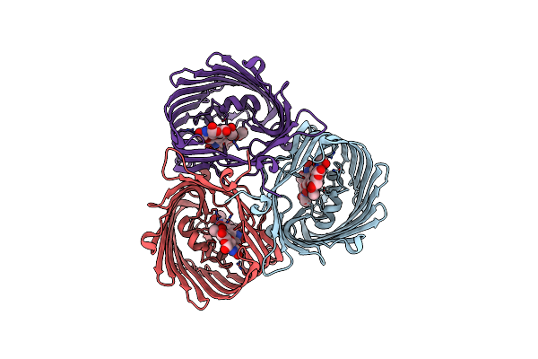 5MDS image