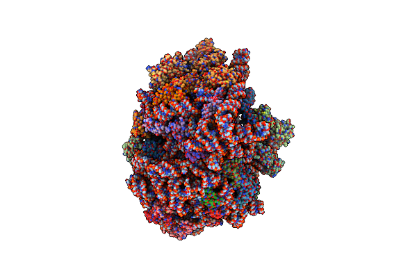 5MDV image