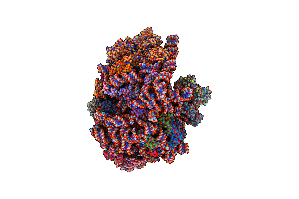 5MDZ image