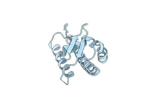 5MEC image
