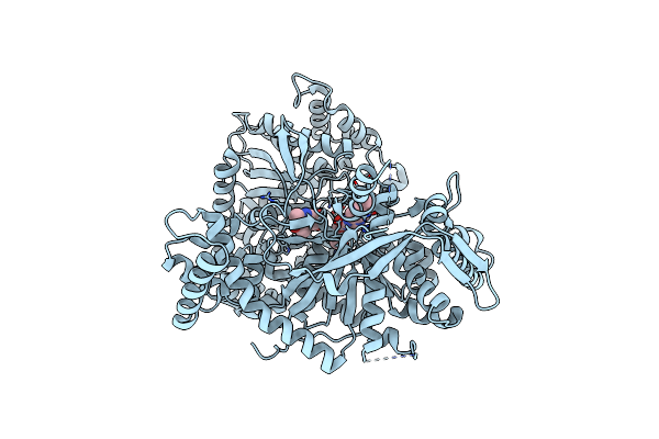 5MEM image