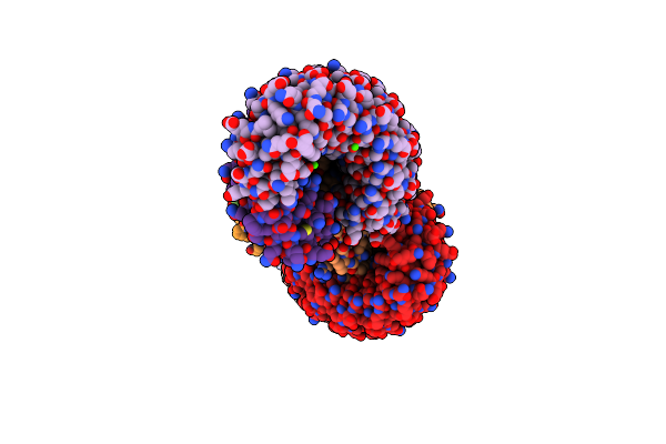 5MFD image