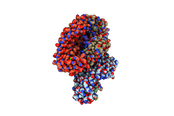 5MFH image