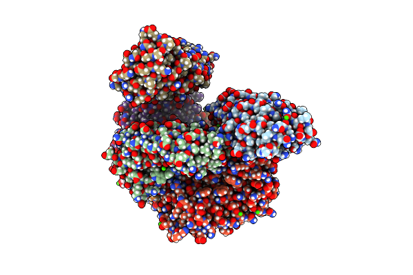 5MFO image