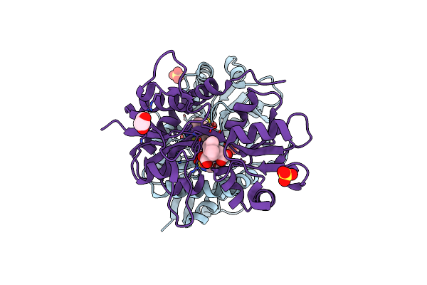 5MFQ image