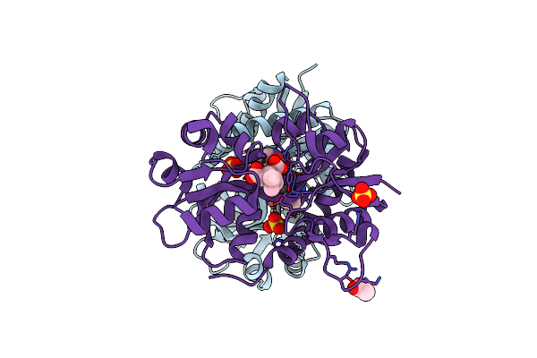 5MFV image