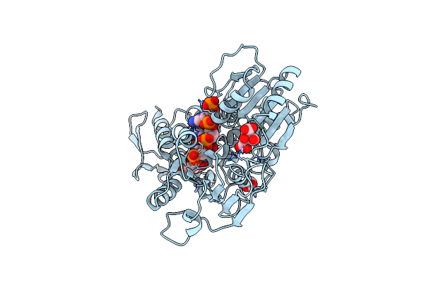 5MFX image