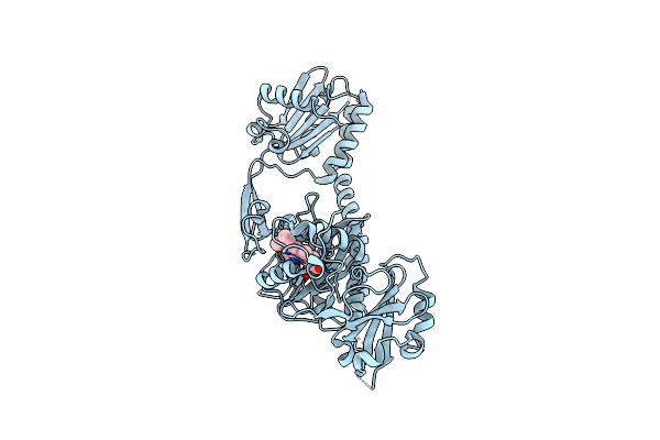 5MG1 image