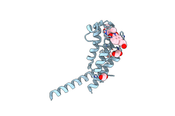 5MG2 image