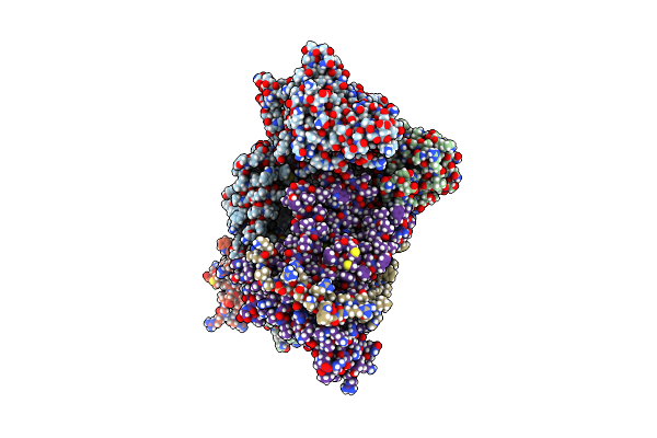 5MG3 image
