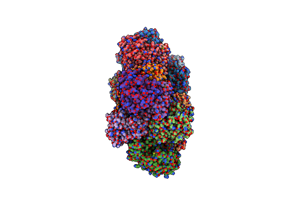 5MG5 image