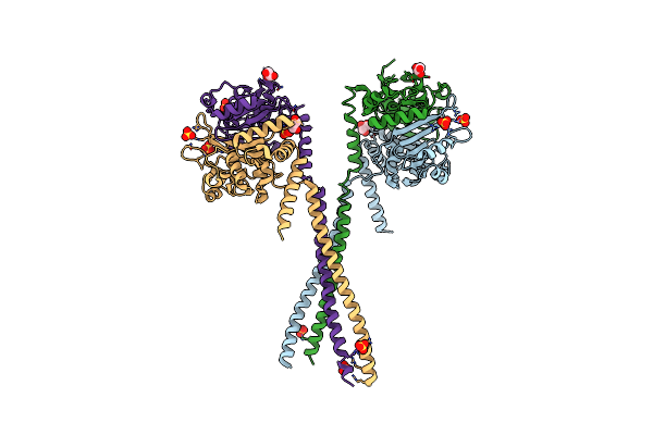 5MG8 image