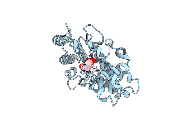 5MGI image