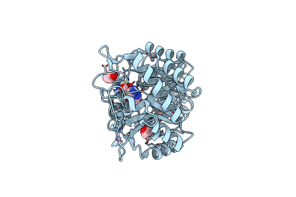 5MHB image
