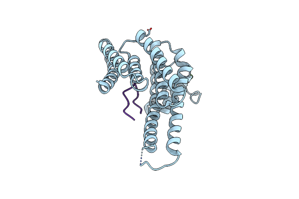 5MHC image
