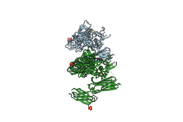 5MHO image