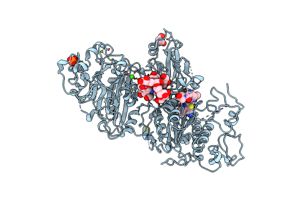 5MHP image