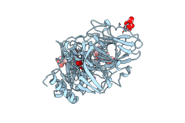5MHV image