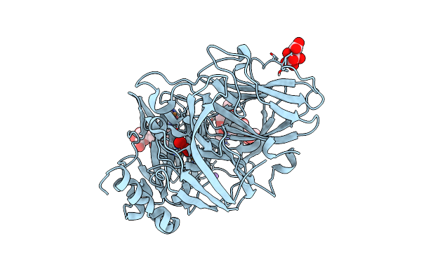 5MIC image