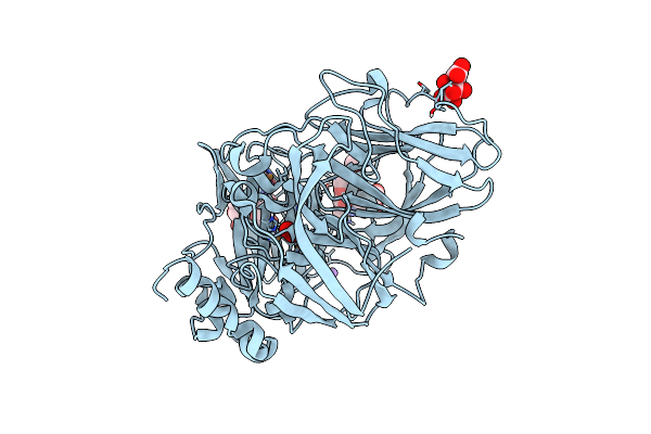 5MIE image