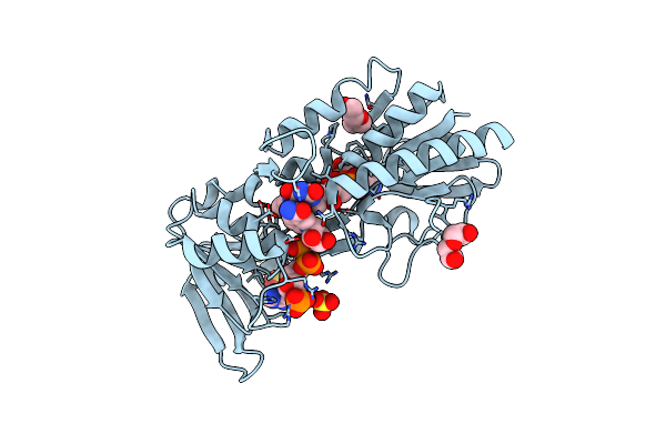 5MIP image