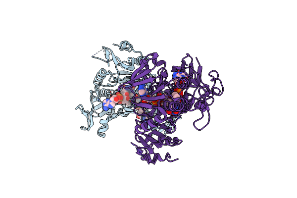5MIV image