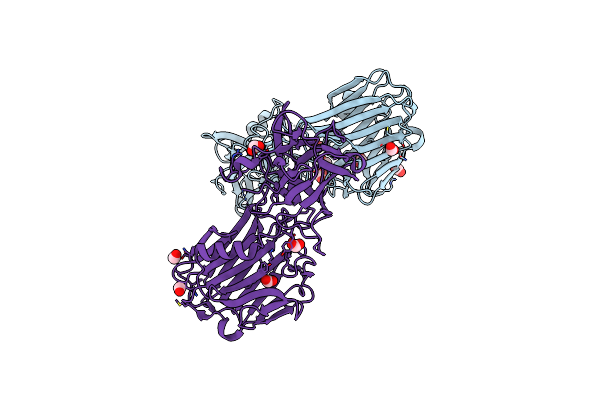 5MK8 image