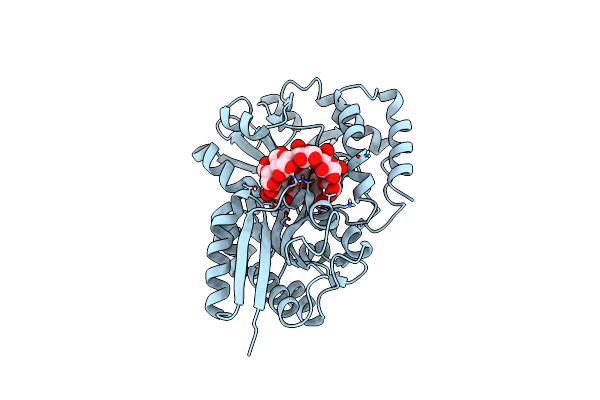 5MKA image