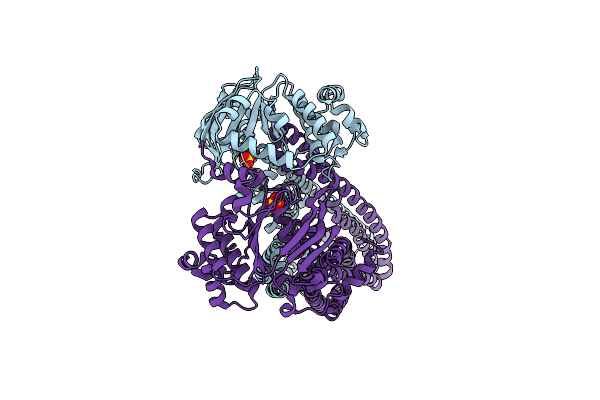 5MKK image