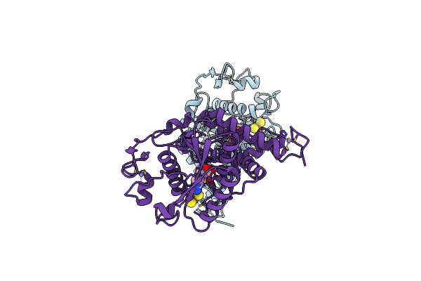 5MKO image