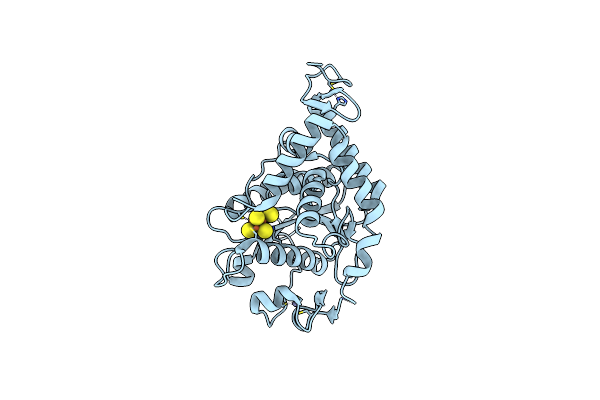 5MKP image