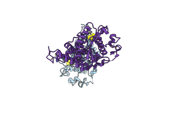 5MKQ image