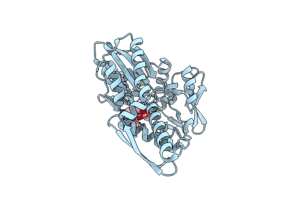 5MKS image
