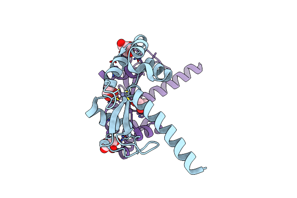 5MKW image