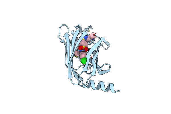 5ML2 image