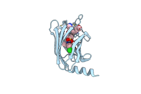 5ML4 image