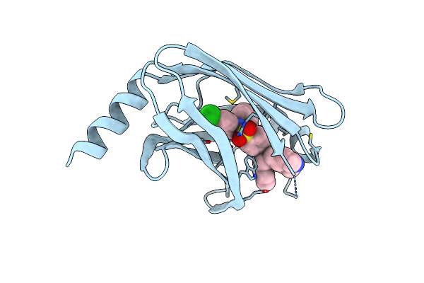 5ML8 image