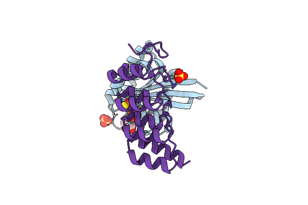 5MLA image