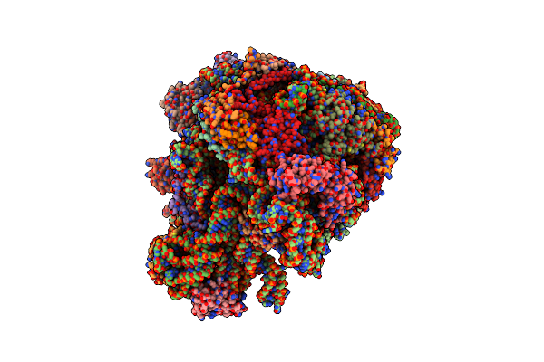 5MLC image